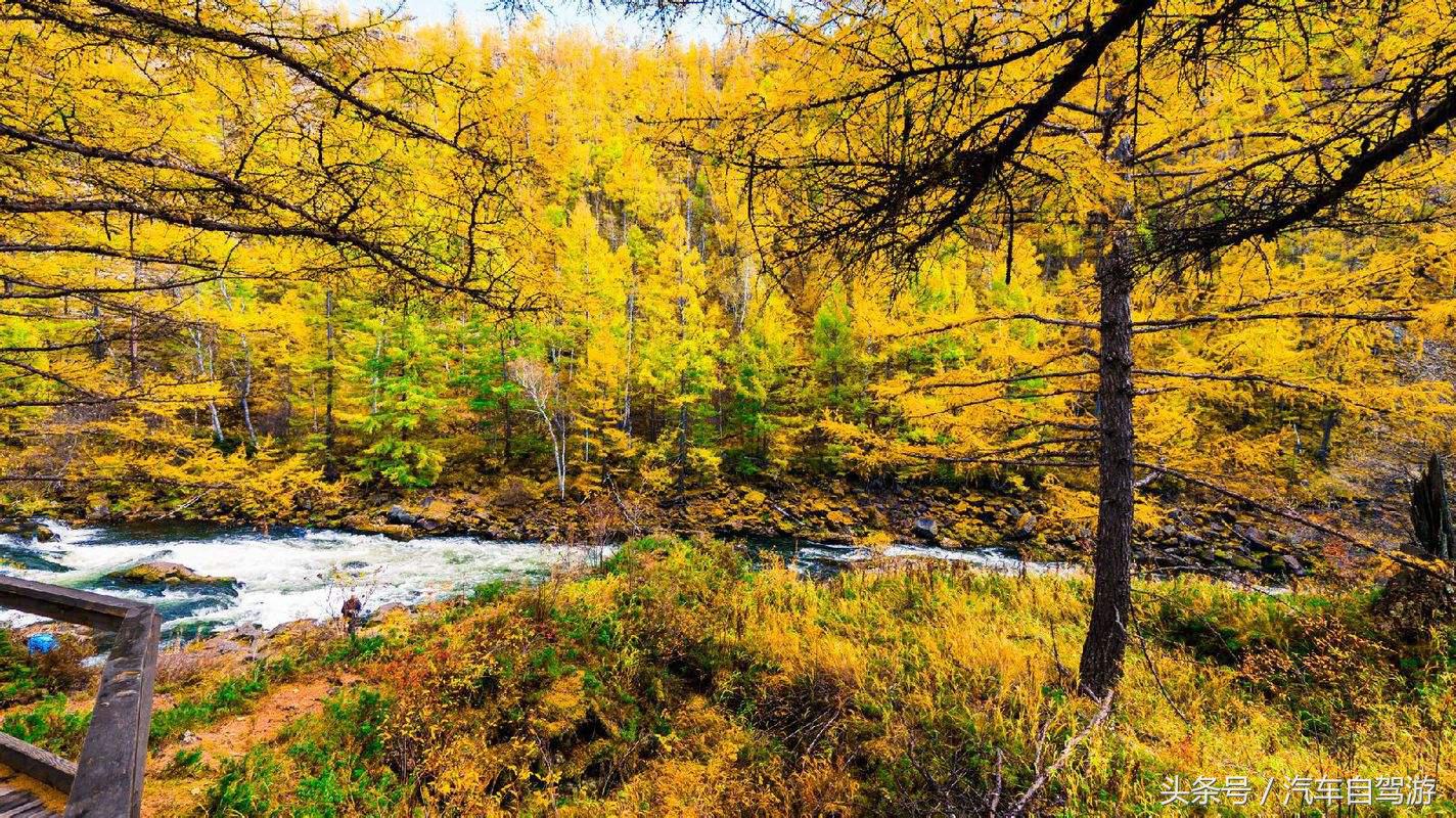 阿尔山摄影推荐,9月初阿尔山景色