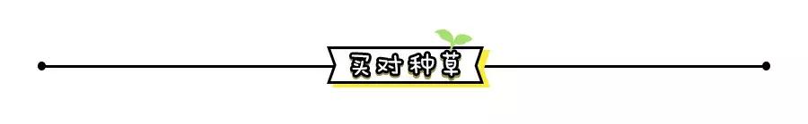 推荐一款化妆水,便宜好用的化妆水推荐