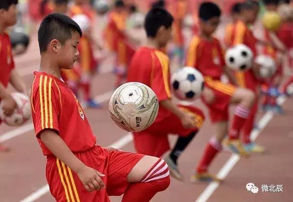 北辰区一共有几所大学,北辰有哪几个大学