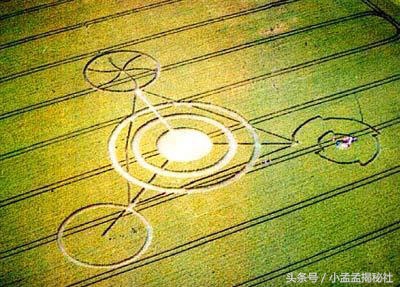 麦田怪圈的真相真是外星人所为吗,麦田怪圈是人类弄的吗