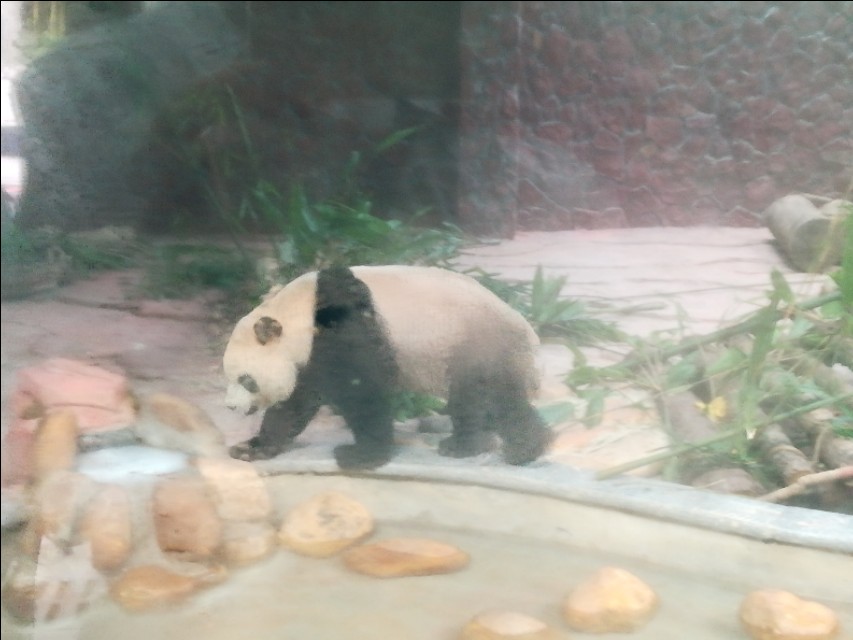 贵州自驾游旅游攻略自由行,贵州环省自驾旅游攻略