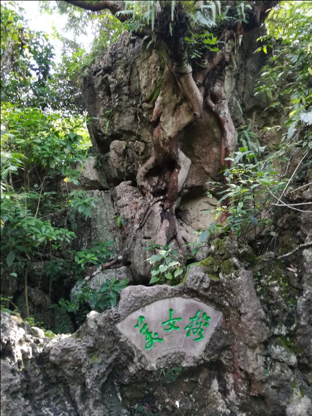 贵州自驾游旅游攻略自由行,贵州环省自驾旅游攻略
