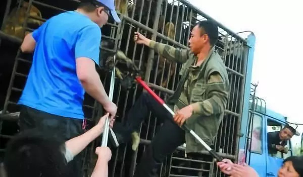 人和*兽禽**的最大区别:作恶还有一大堆理由的人,真*兽禽**不如