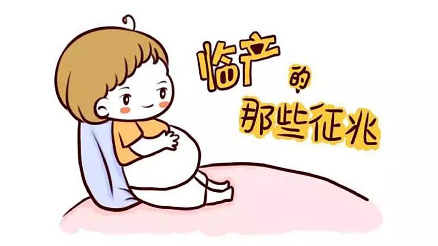 女人怀孕身体的各种不适,女人怀孕出现哪些异常