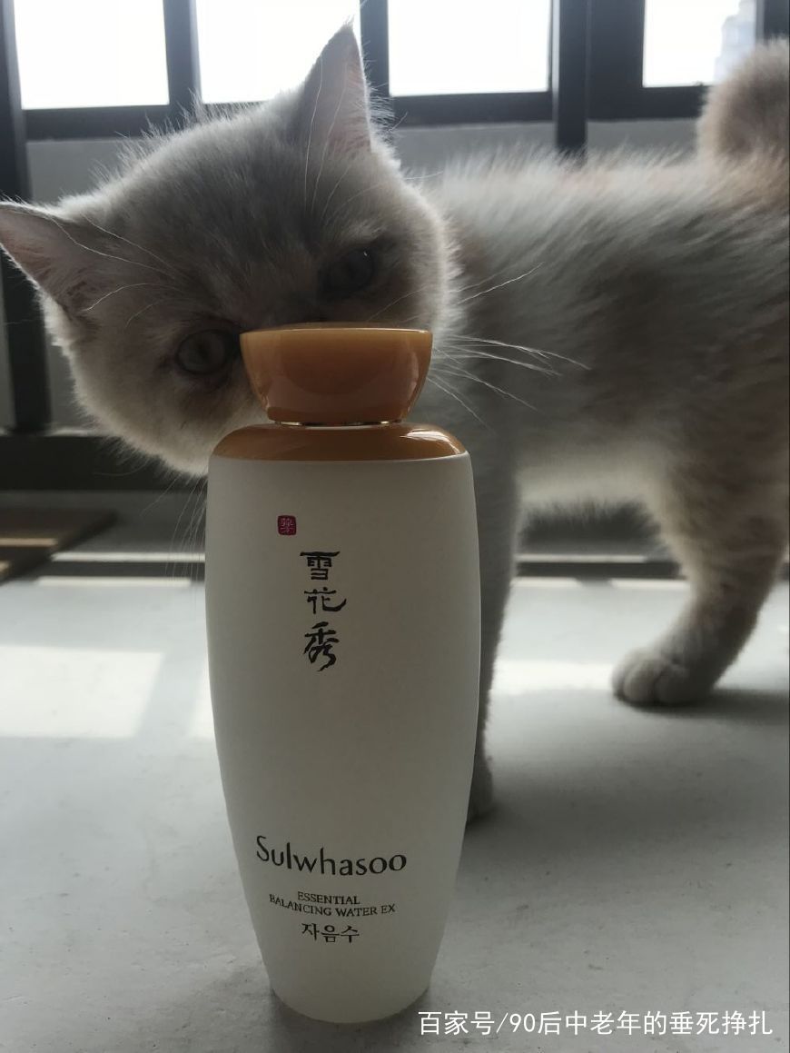 雪花秀和后美白对比,韩国护肤品怎么选雪花秀