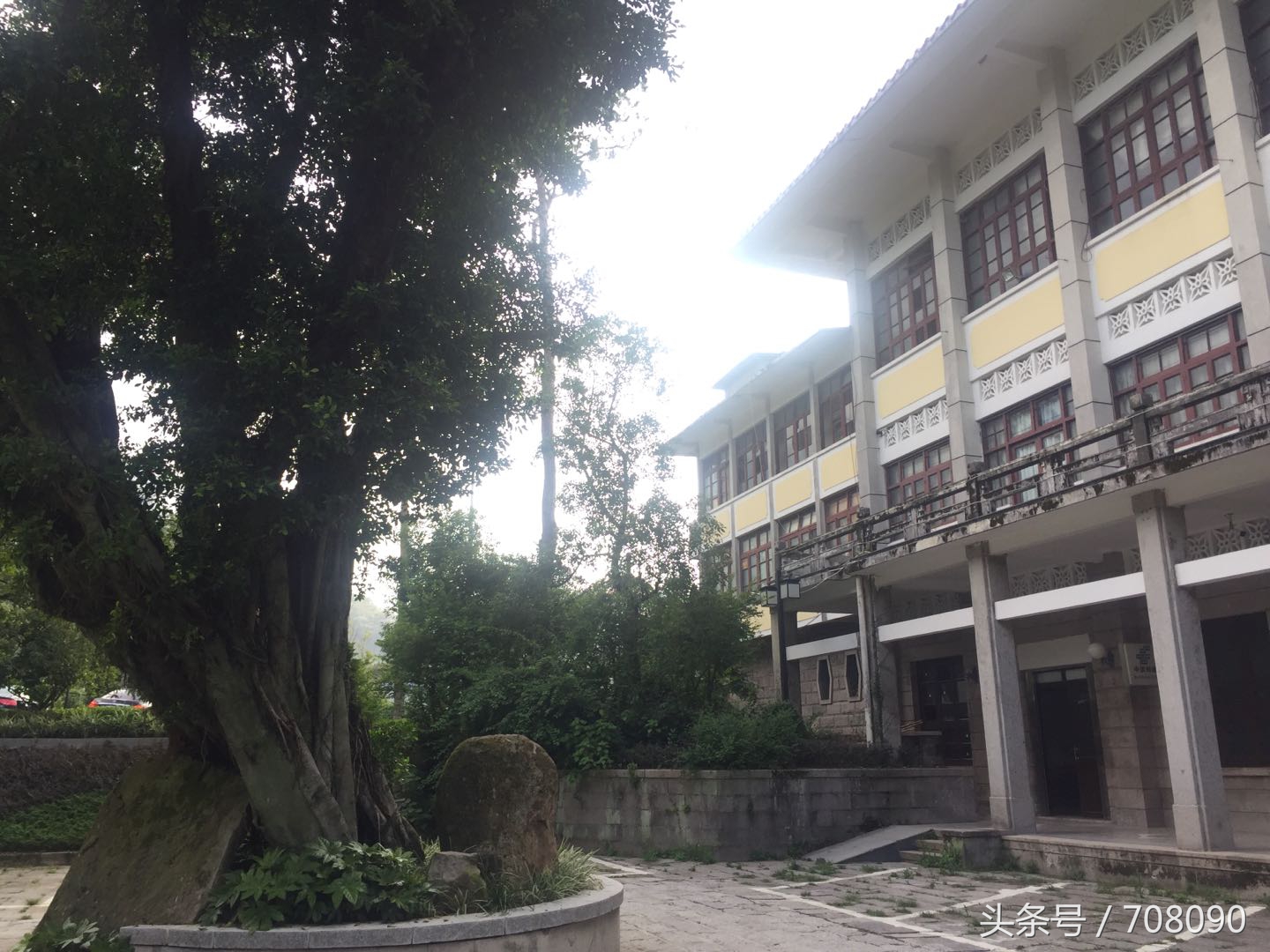 鼓山般若苑旅游攻略,鼓山般若苑网红景点