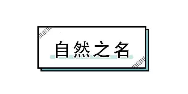 代购的cpb真假货怎么区别,代购假货却用的跟真的一样