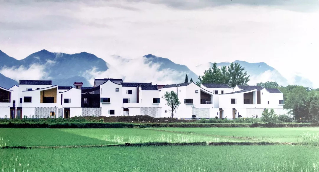 向市人民政府请示,富阳向党和人民报告