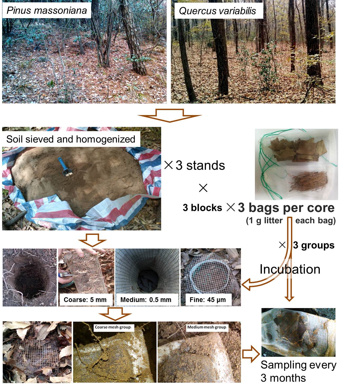 化作春泥更护花全诗及注解,化作春泥更护花意思相近的诗句