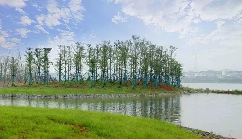 全国独轮车比赛怎么报名,独轮车全国比赛视频