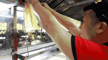 隐匿角落的美食,隐藏在闹市中的美味