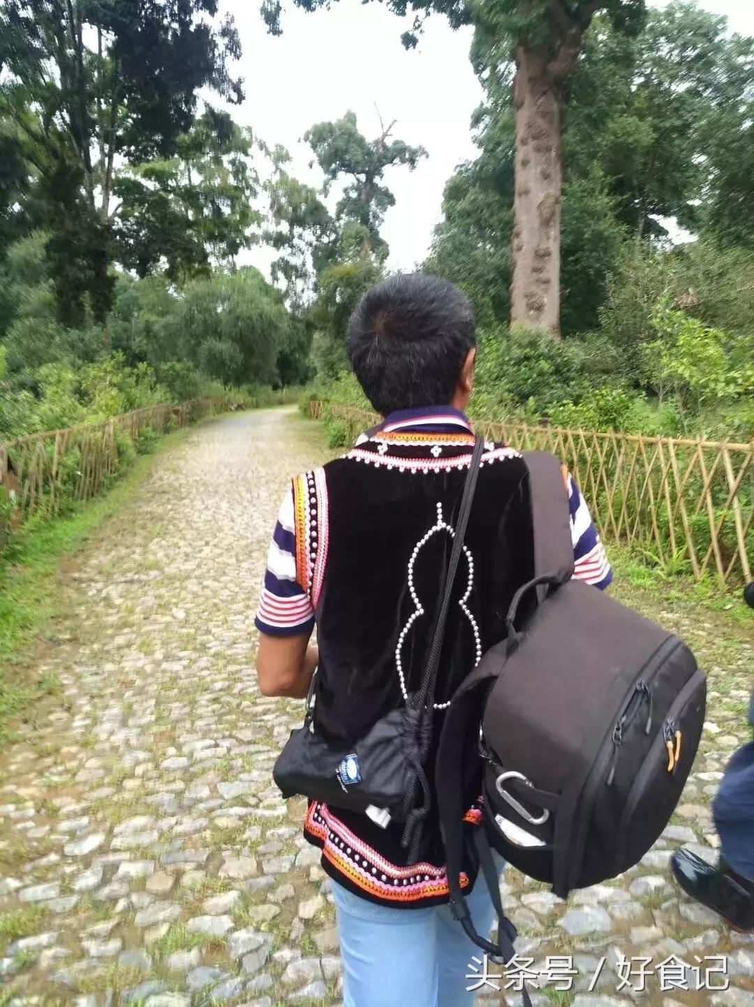 景迈有哪些寨子茶最贵,景迈山有村寨茶吗