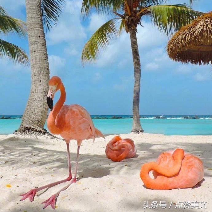 朋友圈句句刺痛人心的唯美句子,最适合发朋友圈的句子精辟到噎人