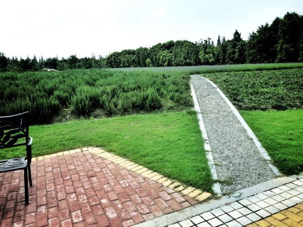 同里湿地好玩吗,同里湿地超有趣