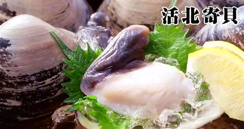 蛏子贝壳类海鲜,贝类海鲜有哪些毛蚶