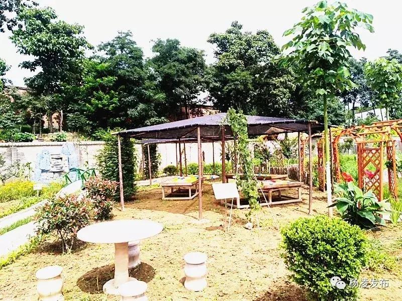 乡村振兴看保康,乡村振兴未来让城里人羡慕去吧