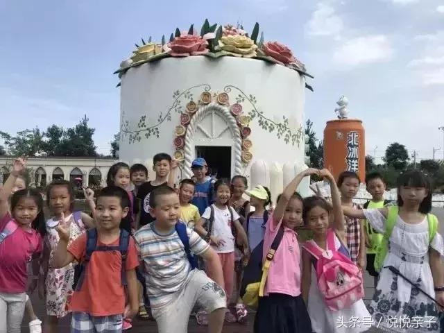 北冰洋69.9块钱24瓶,69元北冰洋汽水