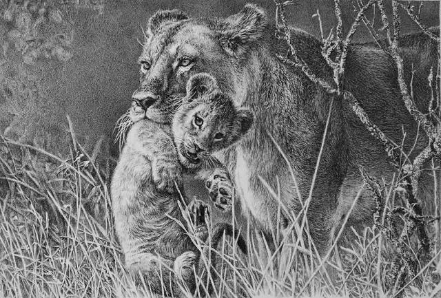 顶级超写实钢笔画,最惊艳的钢笔画大神