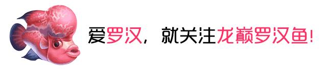 3000左右diy主机,3000元diy