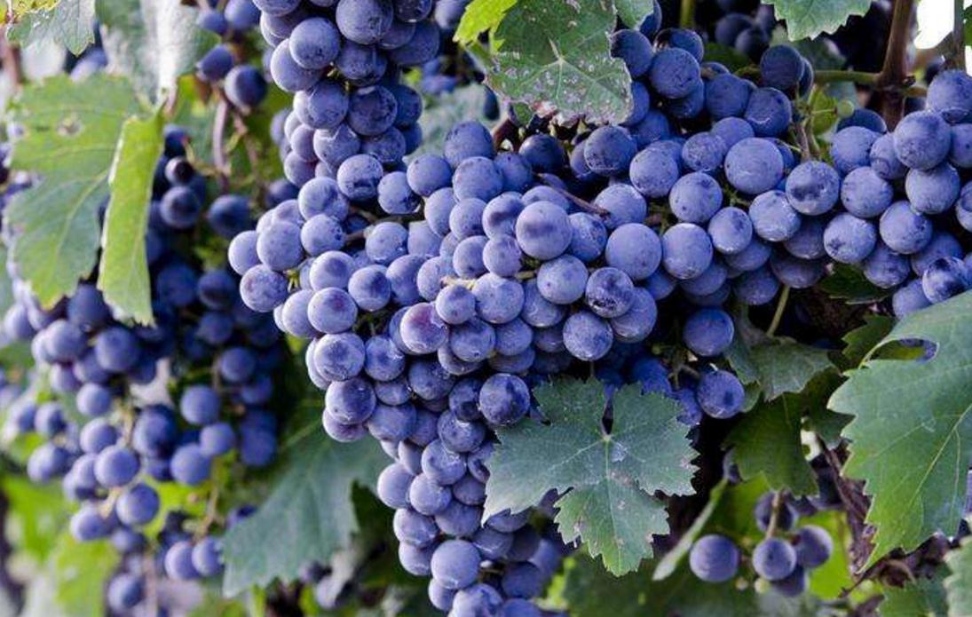 独来独往的人出现的三种气质,做人好的人身上都有的特征