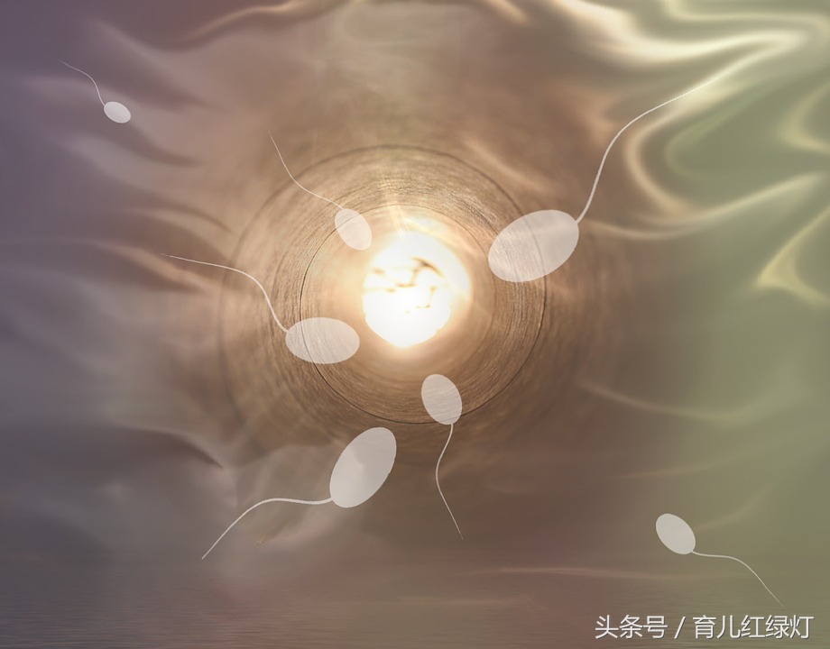 从胚芽到宝宝的形成过程,1-12个月生长发育对照表