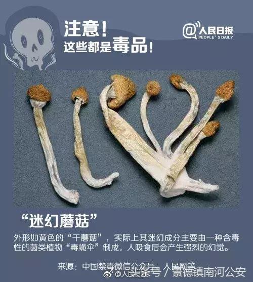 这款新型*品毒**吃后任人摆布！危害超*洛因海**1000倍