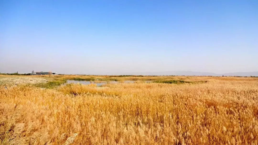 张掖是现在的什么城市,张掖一座被严重低估的城市