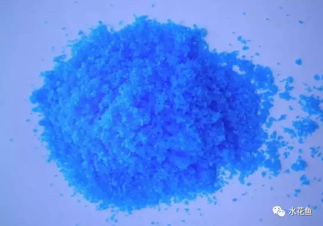 怎样抑制蓝藻爆发,控制蓝藻最省钱的办法