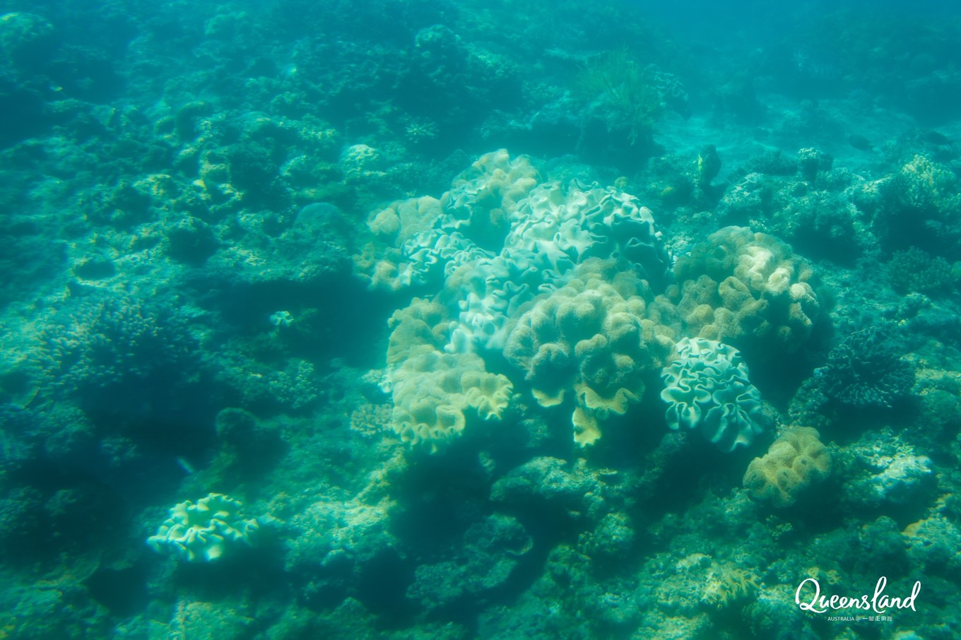 大堡礁坐船多久,去大堡礁玩多少钱