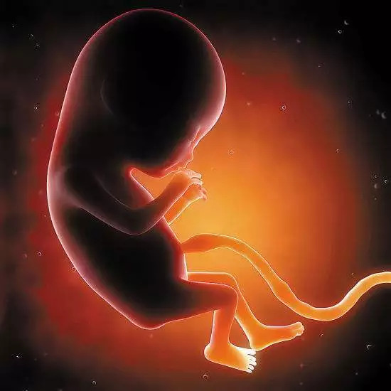 深圳首例干细胞治疗脑瘫,世界首例自体脐血移植