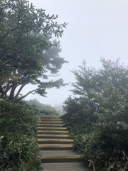 济州岛旅游遇台风,邂逅韩国电视剧国语版