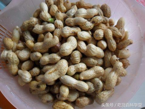 你煮的花生不入味怎么办,花生为什么最好煮着吃