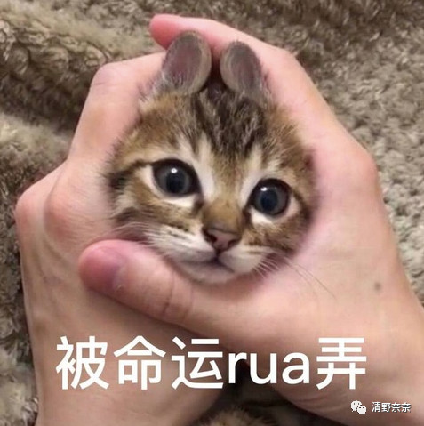 脸上的痘痘该怎么快速清除学生党,脸上痘痘反反复复怎么调理好肌肤