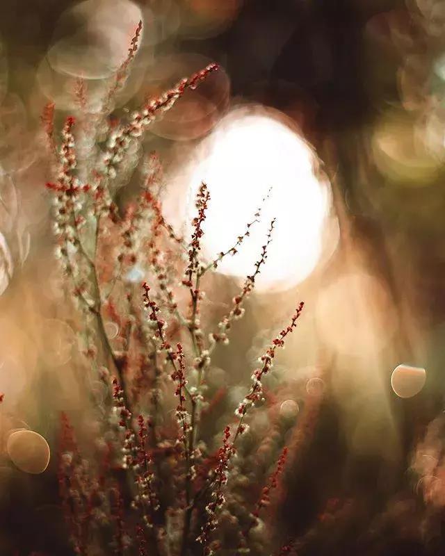 夜读一个人幸福的5种状态,夜读提升幸福感的10个好习惯