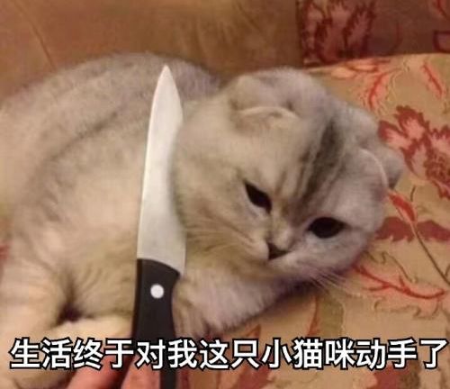 2019supreme秋冬,supreme2019秋冬系列正式发布