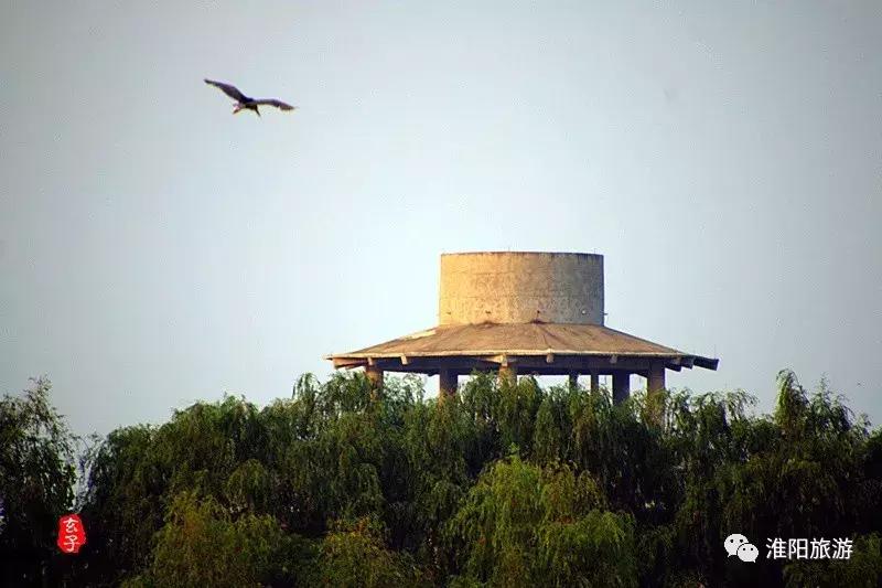 河南省政协副主席李英杰亲临淮阳“荷花杯”围棋棋王赛观战