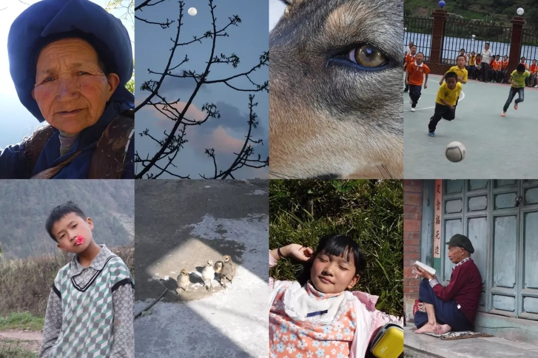 “全纳教育”——让教育回归教育本质