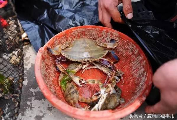 一饱口福,威海吃海鲜推荐最全攻略