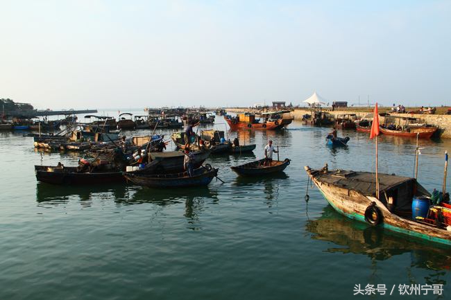 北部湾鱿鱼干和越南鱿鱼干区别,北海鱿鱼干大的还是小的好吃