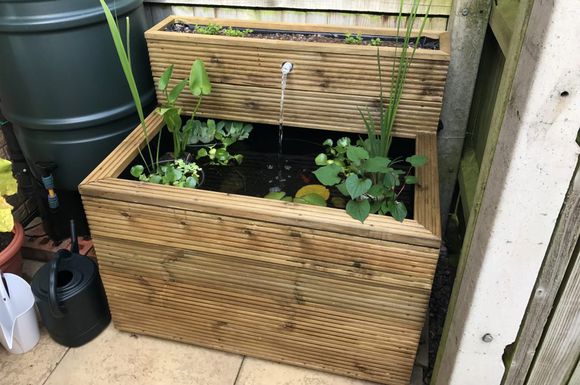 「龟龟环境篇」沼泽过滤(bogfilter):一种原生态水处理技术