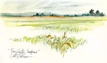 彩铅水彩怎么一起用,彩铅学出来有什么用