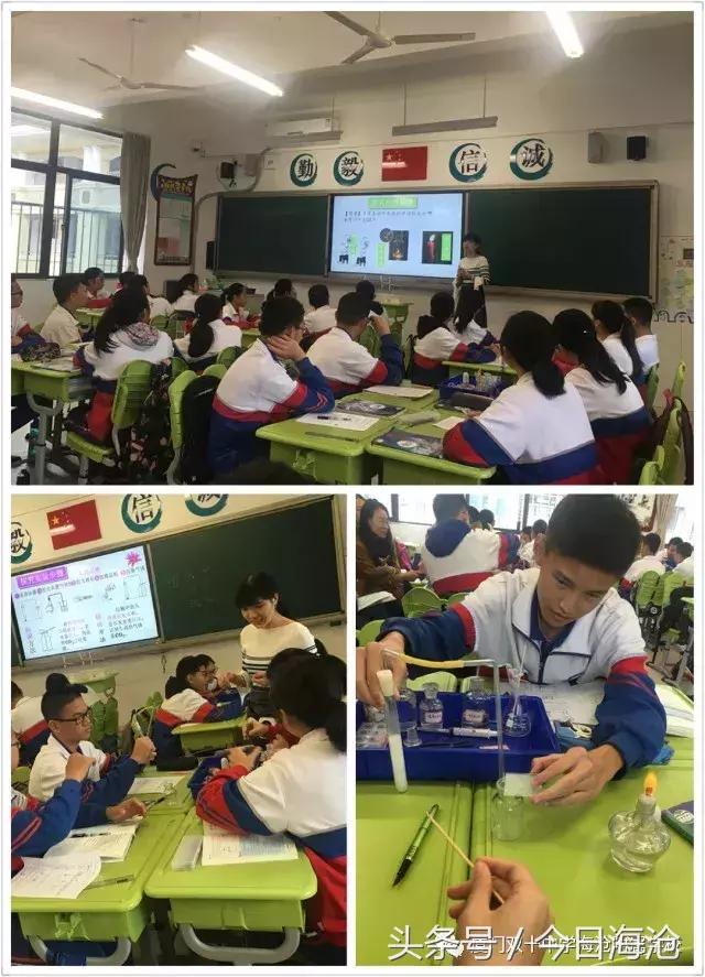 厦门海沧成绩最好的小学,海沧最好的中学排名