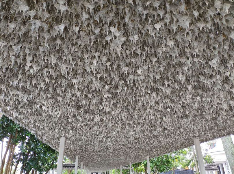 vespagts300新款,vespagts300