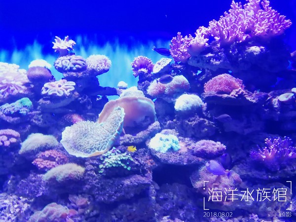 顾影的流水账1：合肥~大连~海拉尔