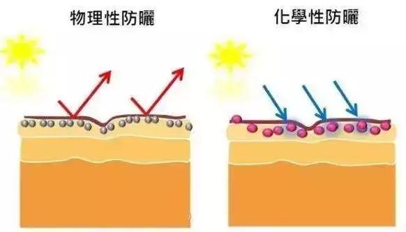适合孕妇的网红产品,孕妇适合用的网红化妆品