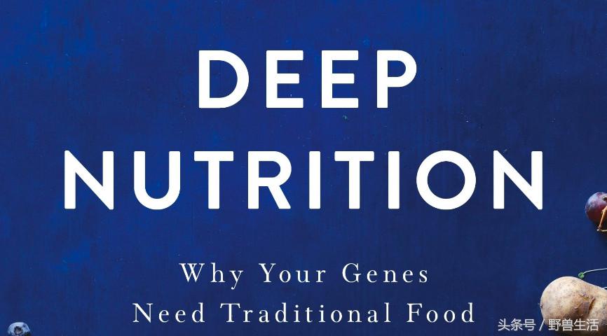 深度营养第十三章,深度营养在线阅读书评