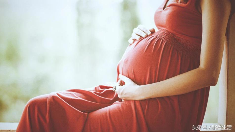 深度营养第十三章,深度营养在线阅读书评