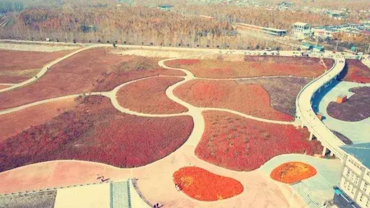 喜欢徐州的100个理由，有你的吗？