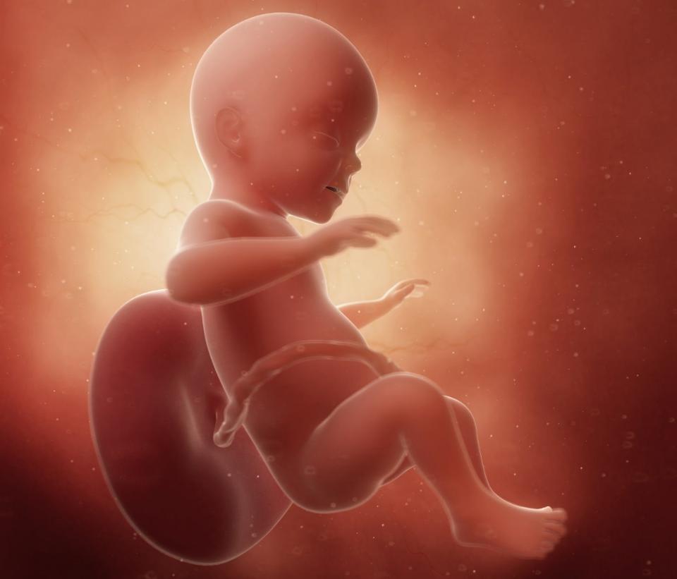 胎儿能在子宫存活下来是好是坏,胎儿在保护自己同时保护妈妈