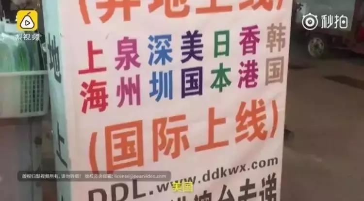 年入20w的小哥哥,年入千万的小生意